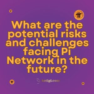 What are the potential risks and challenges facing Pi Network in the future?