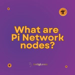 What are Pi Network nodes?