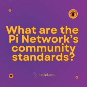 What are the Pi Network’s community standards?