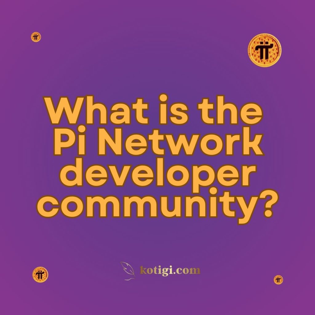 What is the Pi Network developer community?