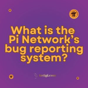 What is the Pi Network’s bug reporting system?