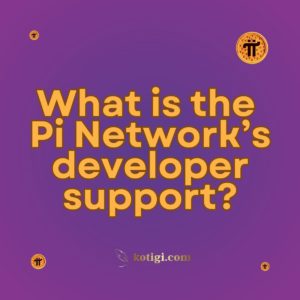 What is the Pi Network’s developer support?