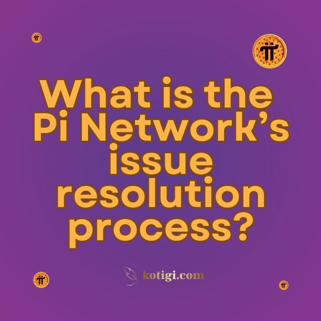 What is the Pi Network’s issue resolution process?