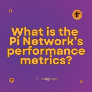 What is the Pi Network’s performance metrics?