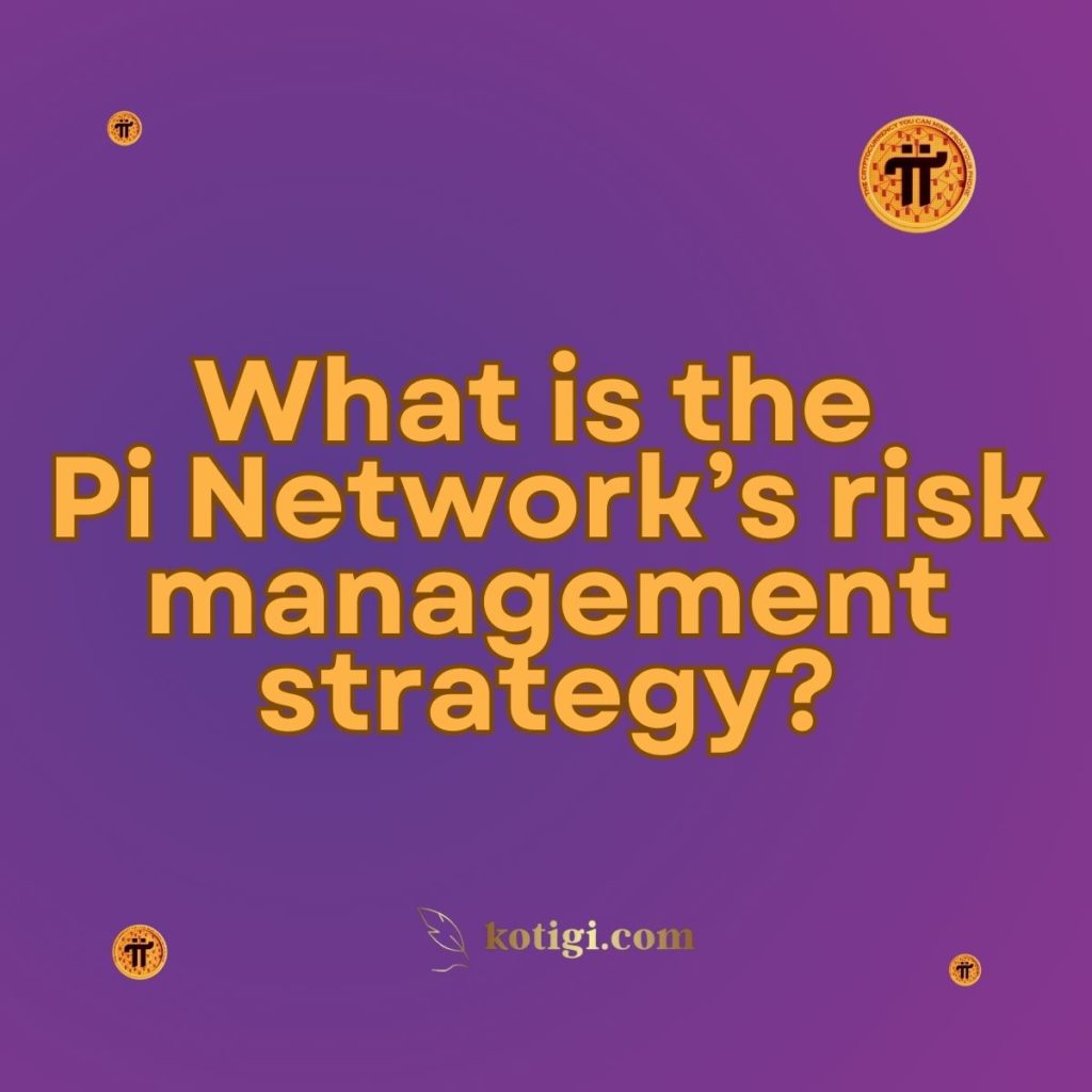 What is the Pi Network’s risk management strategy?